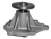 NISSA 2101021000 Water Pump